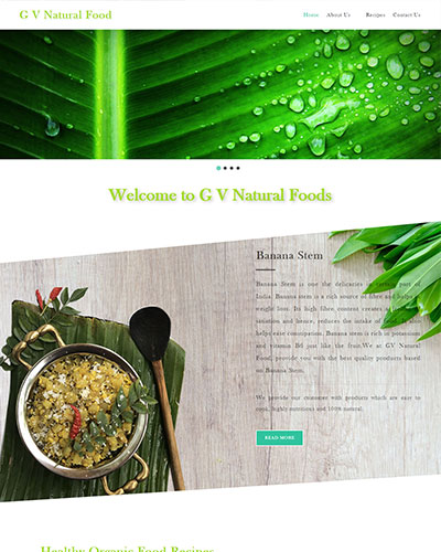 G V Natural Food
